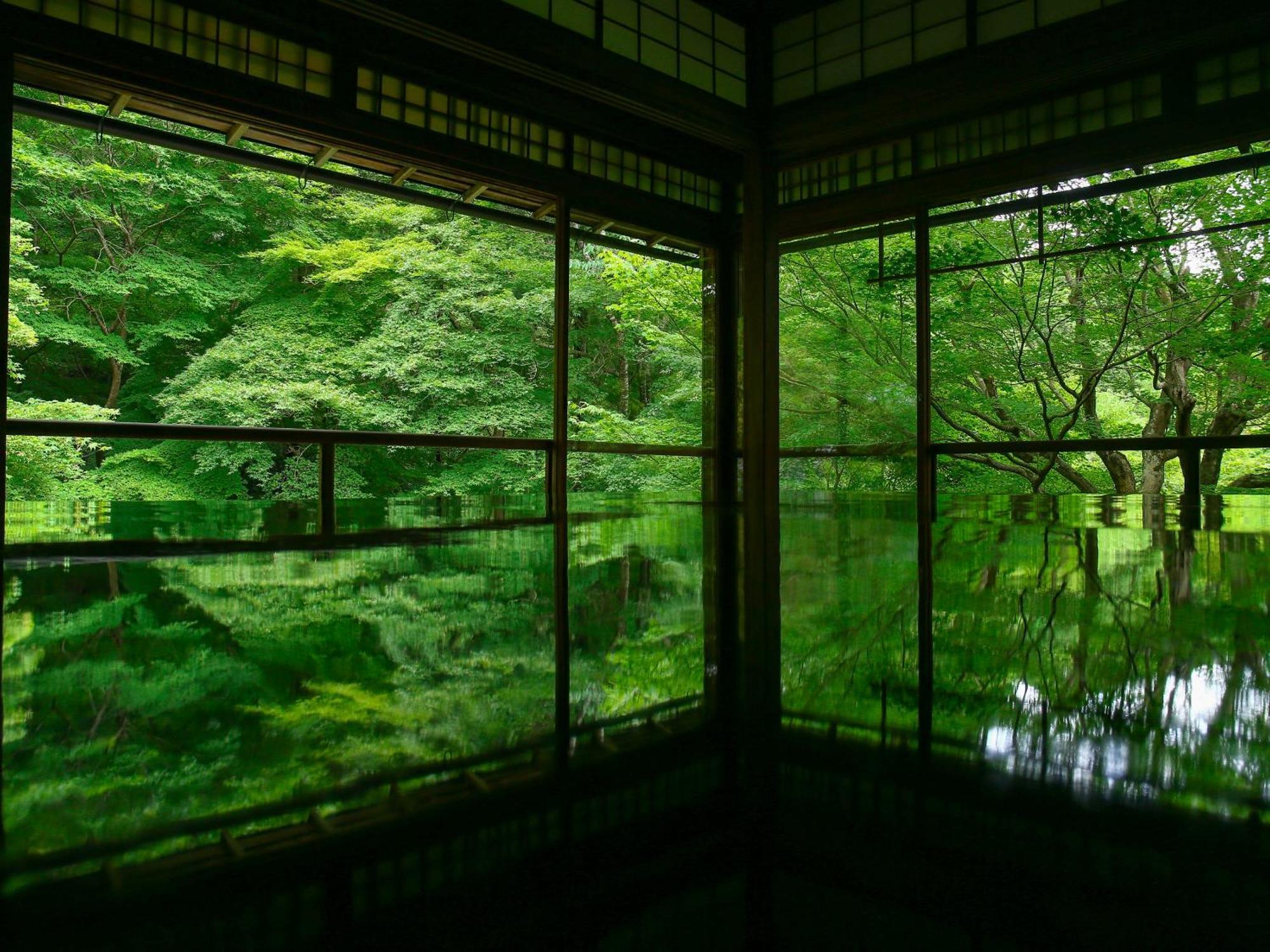 The Blossom Kyoto Luaran gambar