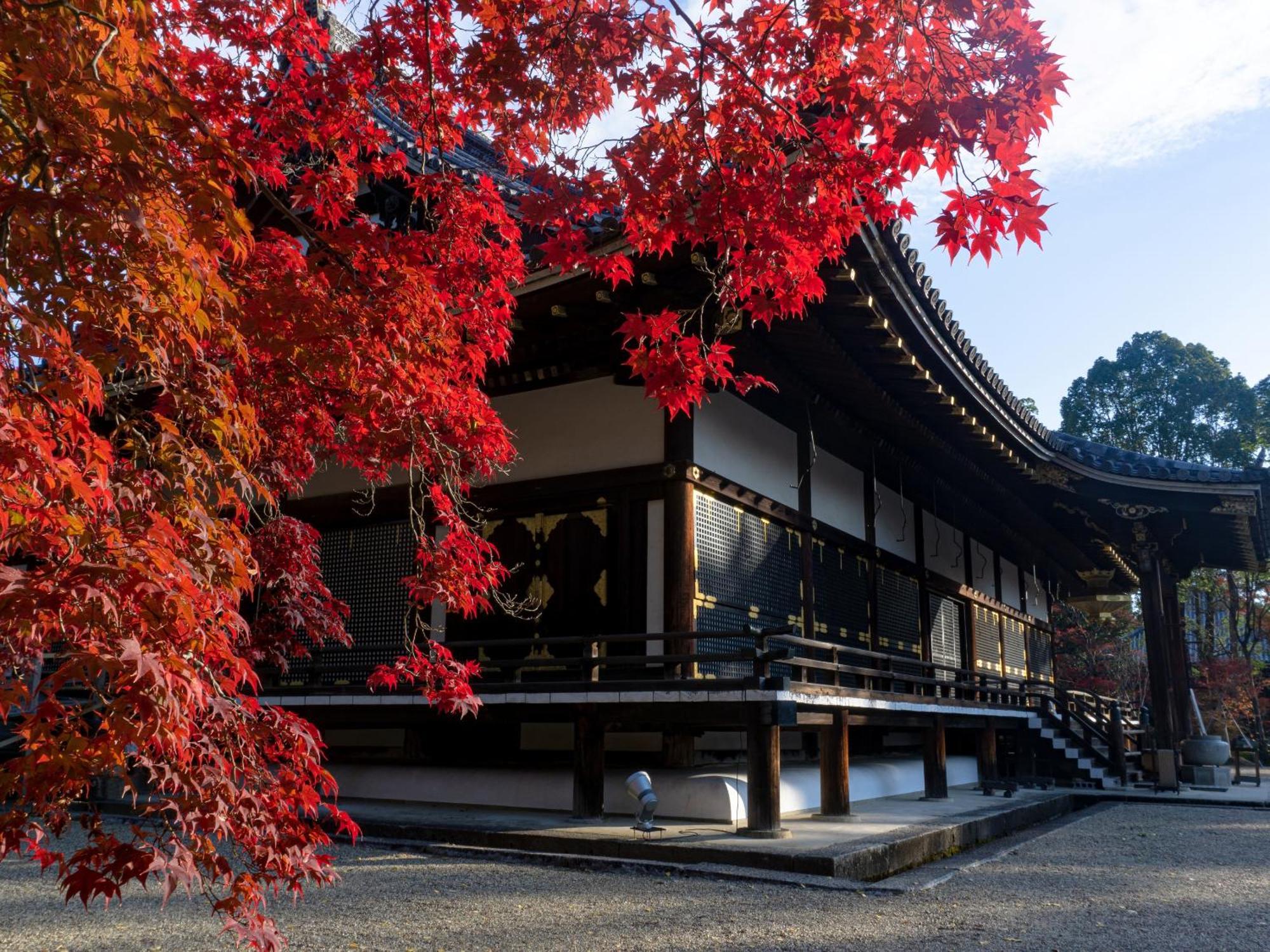 The Blossom Kyoto Luaran gambar